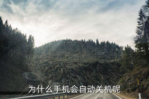 手机为什么光自动关机，为什么我的手机会自动关机