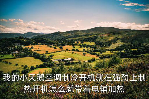 我的小天鹅空调制冷开机就在强劲上制热开机怎么就带着电辅加热