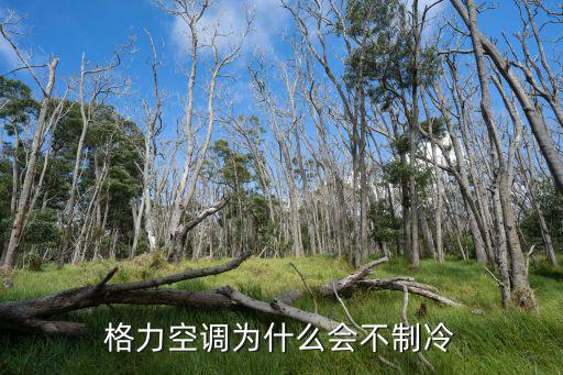 格力空调为什么会不制冷