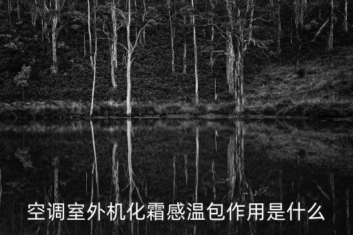 室内环境感温包是什么，格力空调室内机管感温包是什么东西