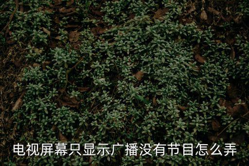 电视屏幕只显示广播没有节目怎么弄