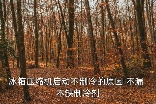 冰箱压缩机启动不制冷的原因 不漏 不缺制冷剂