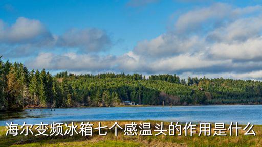 海尔变频冰箱七个感温头的作用是什么