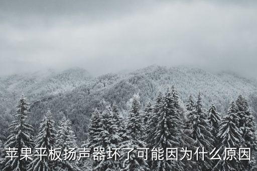 苹果平板扬声器坏了可能因为什么原因