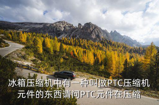 冰箱压缩机中有一种叫做PTC压缩机元件的东西请问PTC元件在压缩