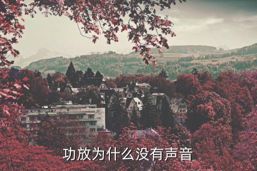 功放为什么没有声音
