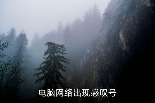 电脑网络出现感叹号