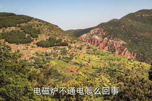 电磁炉不通电怎么回事