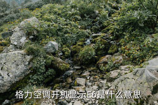 e6格力空调代码是什么，格力空调e6代码