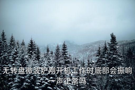 无转盘微波炉刚开机工作时底部会振响一声正常吗