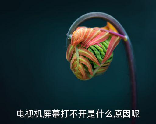 电视机屏幕打不开是什么原因呢
