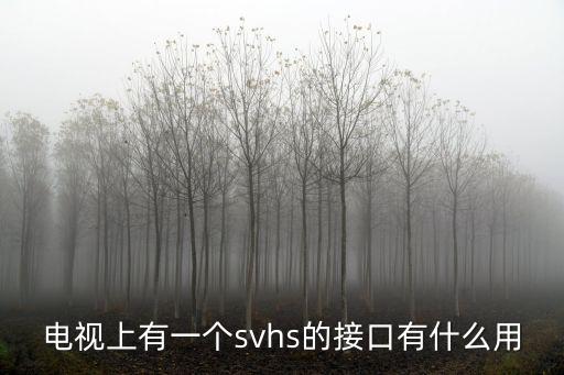 电视上有一个svhs的接口有什么用