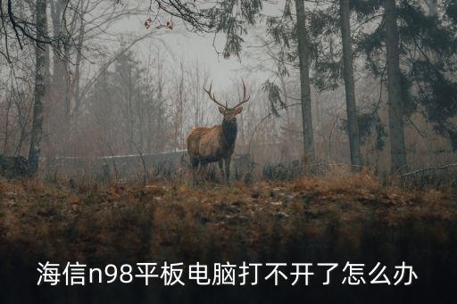 海信n98平板电脑打不开了怎么办