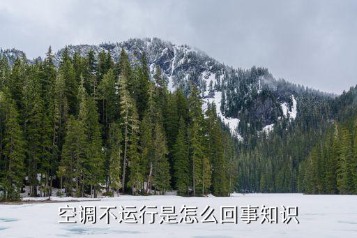 空调不运行是怎么回事知识