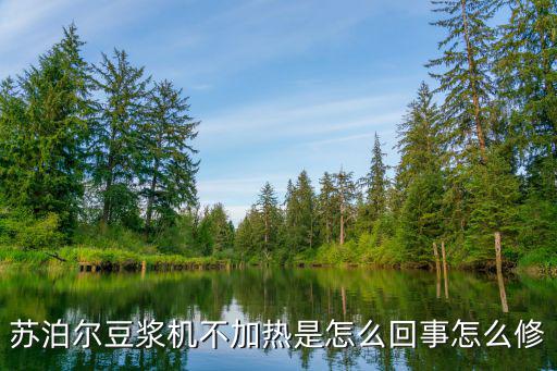 苏泊尔豆浆机不加热是怎么回事怎么修