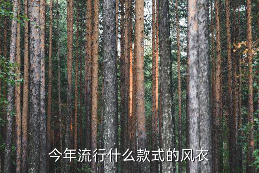 明年流行什么时尚风衣，今年流行什么款式的风衣