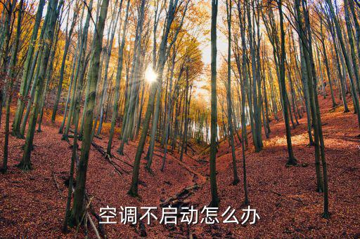 空调不启动怎么办