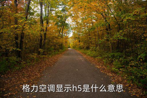 格力空调显示h5是什么意思