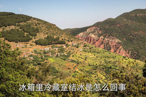 冰箱冷藏室为什么结冰，冰箱的冷藏室为什么会结冰