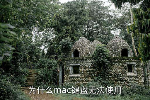 为什么mac键盘无法使用