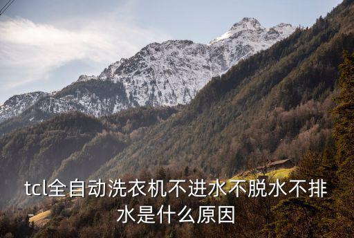 tcl全自动洗衣机不进水不脱水不排水是什么原因
