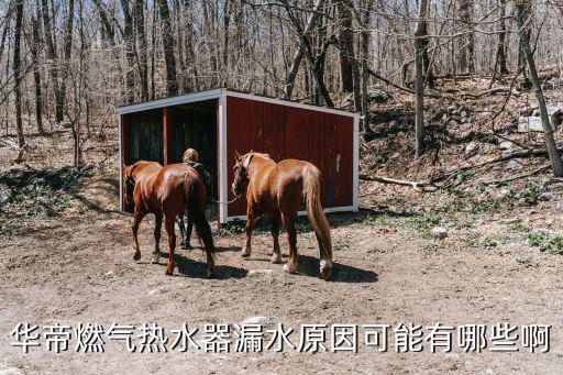 为什么华帝r燃热老漏水，华帝燃气热水器漏水原因可能有哪些啊