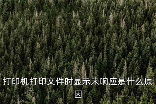 打印机打印文件时显示未响应是什么原因