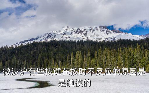 格力微波炉触摸屏失灵什么原因，微波炉有些按键在按时不反应的原因是是触摸的