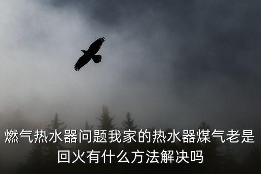 燃气热水器问题我家的热水器煤气老是回火有什么方法解决吗
