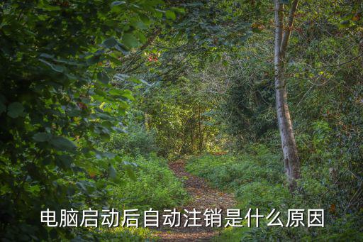电脑启动后自动注销是什么原因