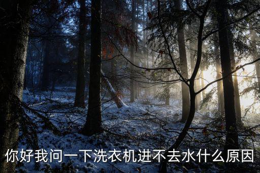 洗衣机水为什么不得进，你好我问一下洗衣机进不去水什么原因