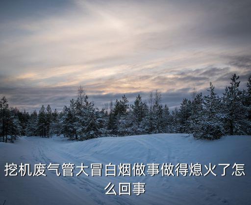 挖掘机废气管排气大为什么，挖机废气管大冒白烟做事做得熄火了怎么回事