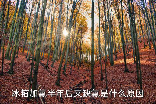 冰箱加氟半年后又缺氟是什么原因