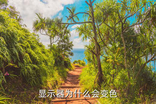 显示器为什么会变色