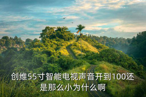 创维55寸智能电视声音开到100还是那么小为什么啊