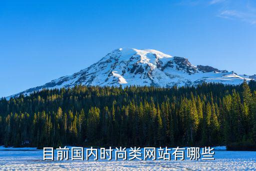 目前国内时尚类网站有哪些