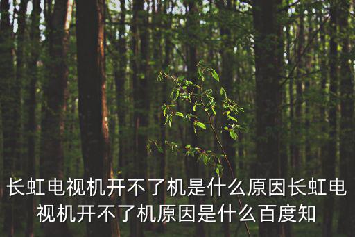 长虹电视机开不了机是什么原因长虹电视机开不了机原因是什么百度知