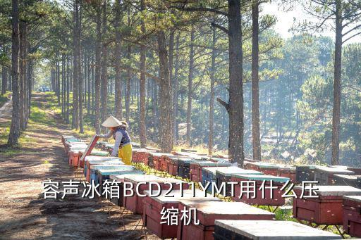 容声冰箱BCD211YMT用什么压缩机