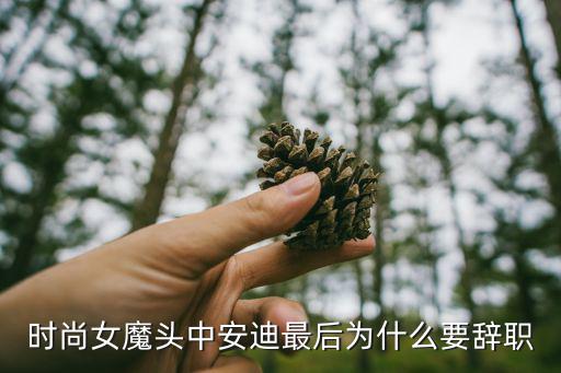 时尚女魔头中安迪最后为什么要辞职