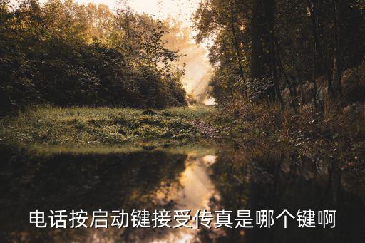 电话按启动键接受传真是哪个键啊