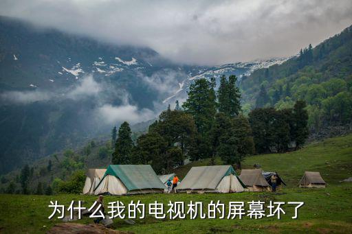 电视屏为什么坏了，为什么液晶电视屏幕坏了换个显示屏有亮光没有图像显示