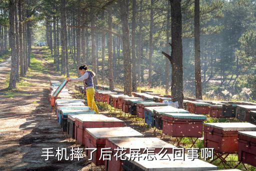 手机摔了后花屏怎么回事啊