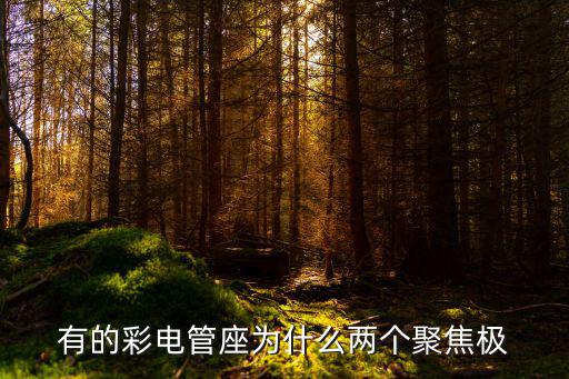 有的彩电管座为什么两个聚焦极