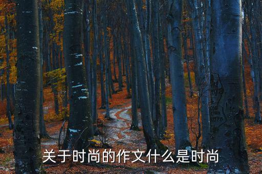 关于时尚的作文什么是时尚