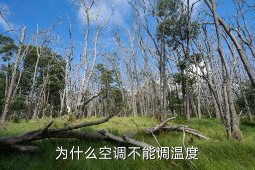 为什么空调不能调温度