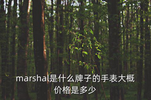 marshal是什么牌子的手表大概价格是多少