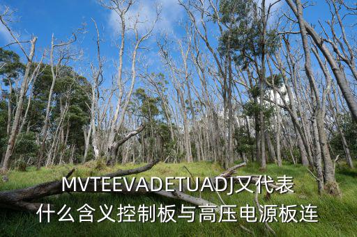 MVTEEVADETUADJ又代表什么含义控制板与高压电源板连