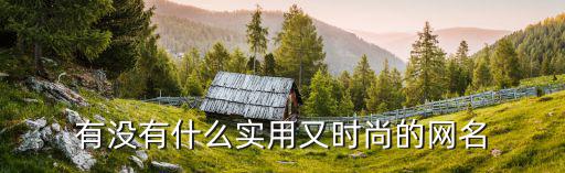 有没有什么实用又时尚的网名