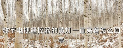 数字电视遥控器的黄灯一直亮着怎么回事