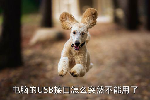 电脑的USB接口怎么突然不能用了